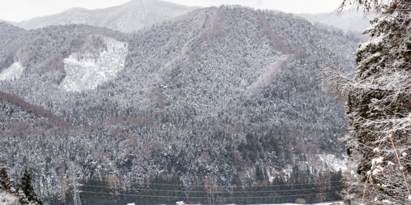 View across a valley near the mountains of Shiga Kogen in a snowstorm, Nagano Prefecture, Japan