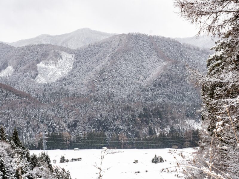 View across a valley near the mountains of Shiga Kogen in a snowstorm, Nagano Prefecture, Japan