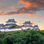 Wakayama, Japan with the hilltop Wakayama Castle