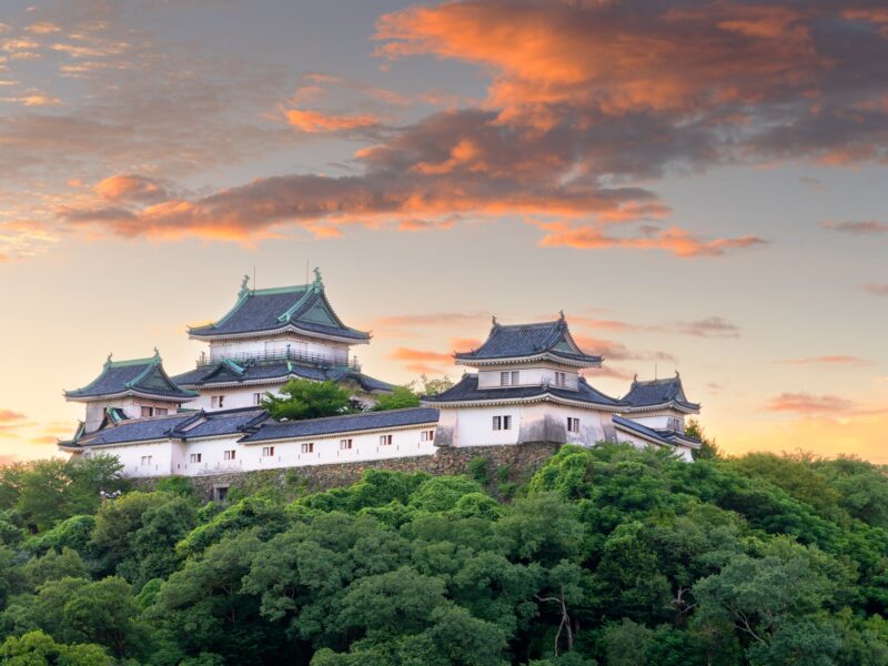 Wakayama, Japan with the hilltop Wakayama Castle