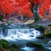 Japan to deploy missiles