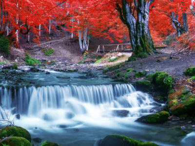 Japan to deploy missiles