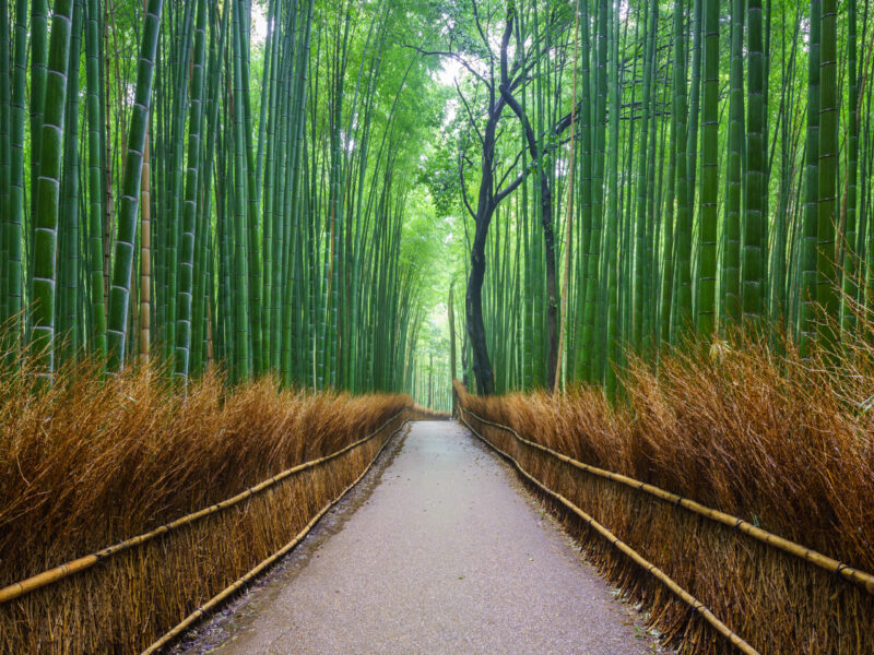 China is hitting Japan where it hurts